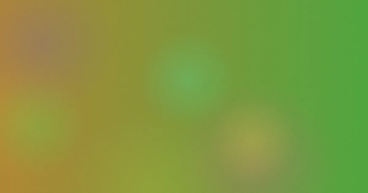 欧美二区三区攻略：选盘流程